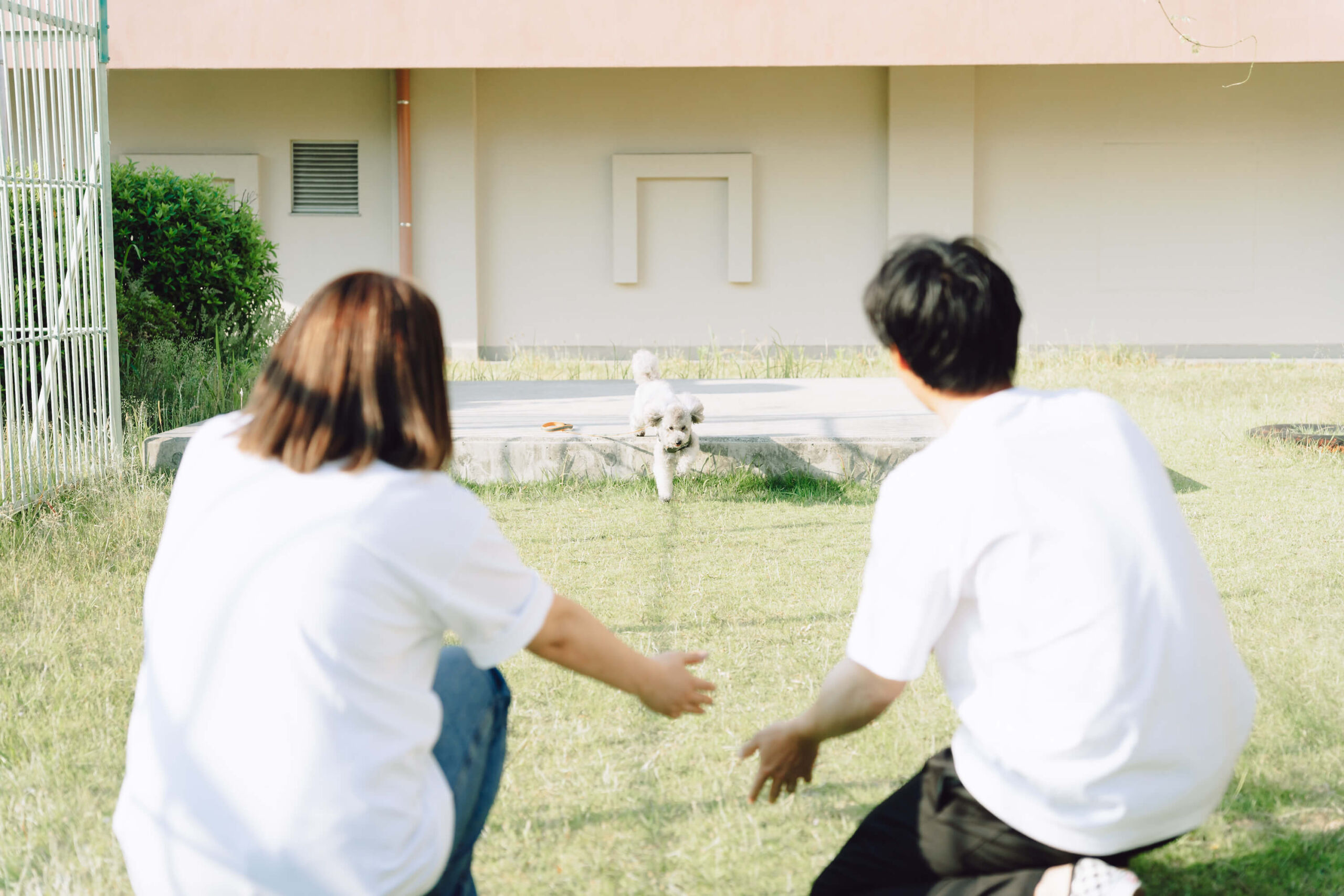photo-8
